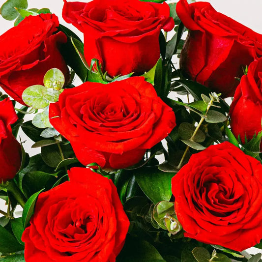 Vibrant Blooms Flora Queen