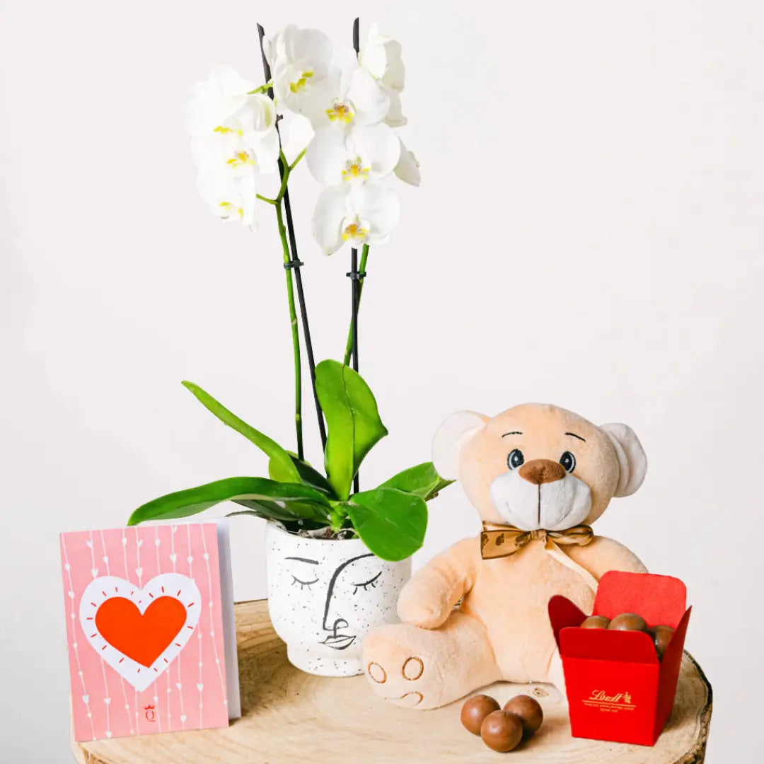 Taniec Płatków - Orchidea