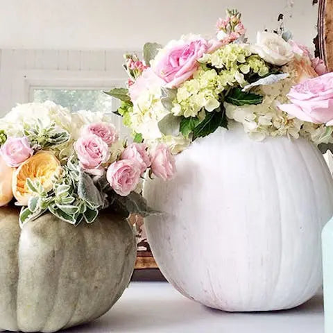 DIY-with-Flowers-Create-Your-Own-Arrangement-with-Pumpkins Flora Queen