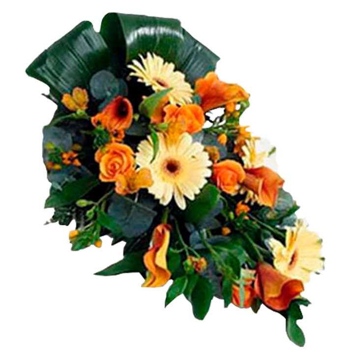 Sunset of Life Flora Queen