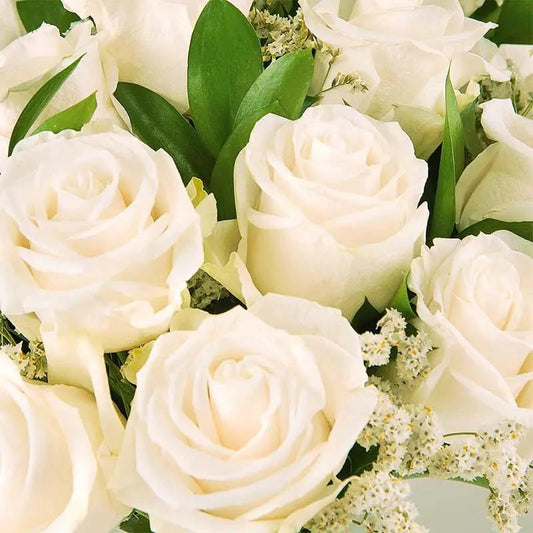 Roses's Elegance Flora Queen