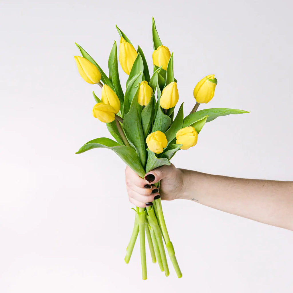 Sunny Nordic Flora Queen Flora Queen