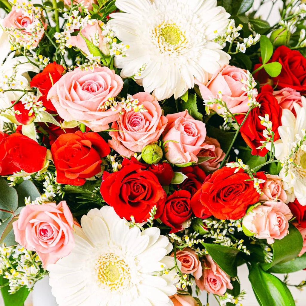 Pure Heart Flora Queen