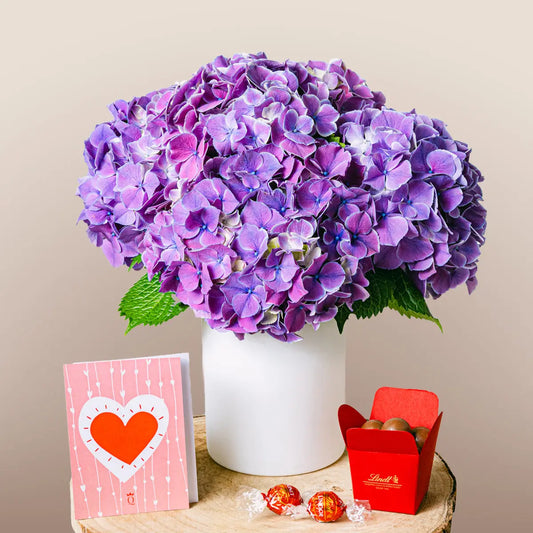 Magic Garden Flora Queen Flora Queen