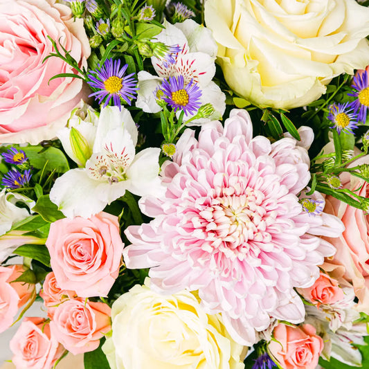 Infinite Strength Flora Queen Flora Queen