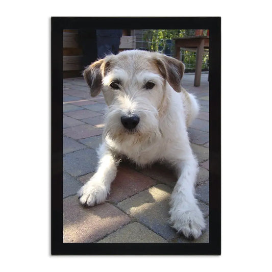 cdb5c6afb59c0a275b486af0907995c2