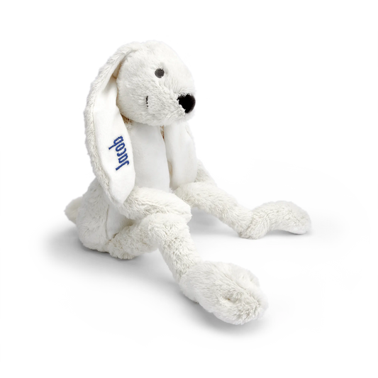 e5c65d033ca2563f8133aa8f2a688816